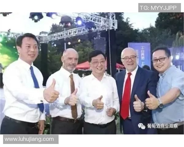 王强专访揭秘排球成功背后的秘诀与心路历程 王强专访揭秘排球成功背后的秘诀与心路历程