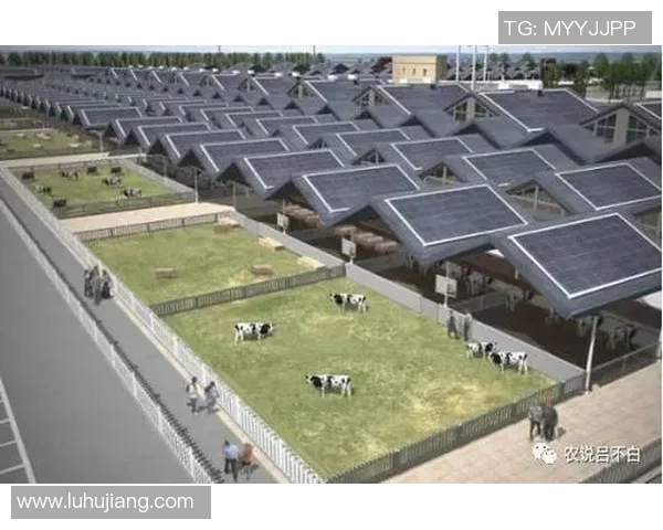 意甲球队的利益分配图解与商业模式发展分析